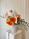 Dolce Corail