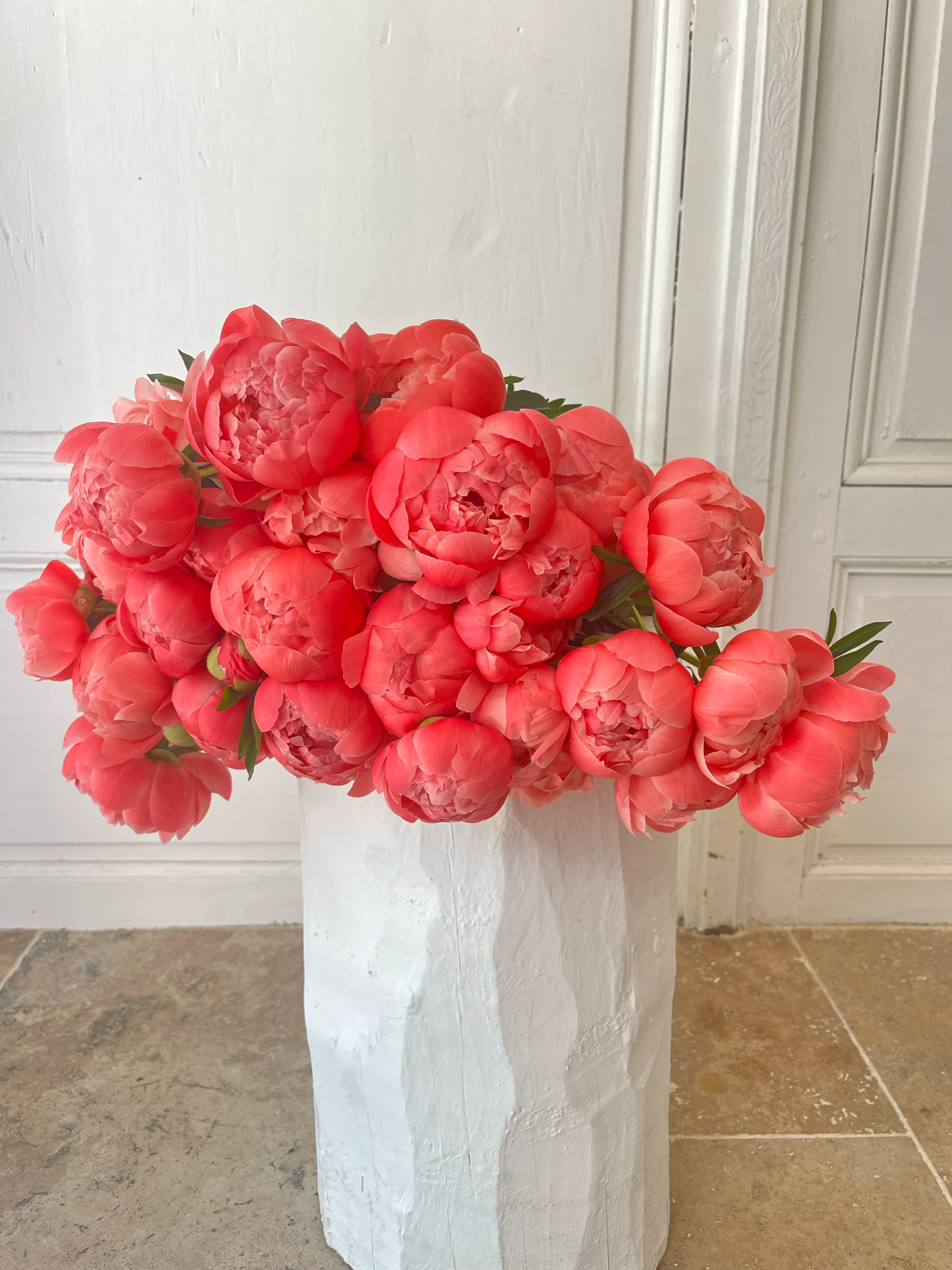 Pivoine Corail
