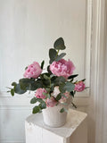 Pivoine Sarah